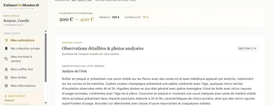 Rapport expert d'une montre : fourchette, observations par zone et annonces comparables